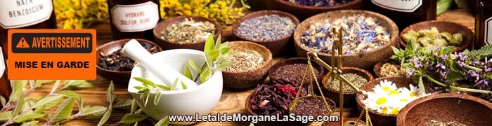 700x180px 1 Avertissement Header Herboristerie letaldemorganelasage.com