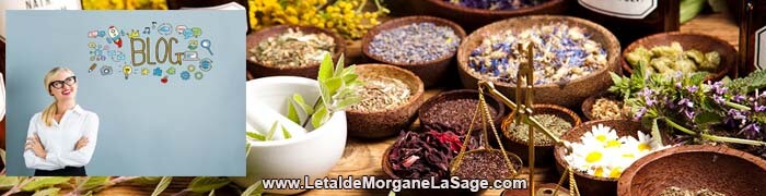 700x180px 1 Avertissement Header Herboristerie letaldemorganelasage.com