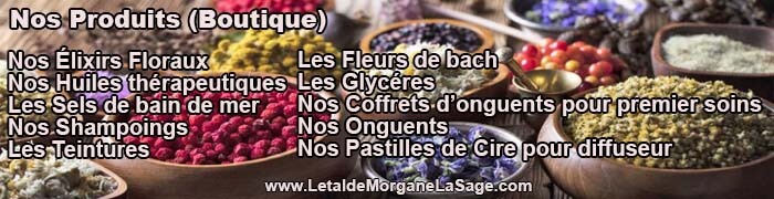 700x180px 1 Avertissement Header Herboristerie letaldemorganelasage.com