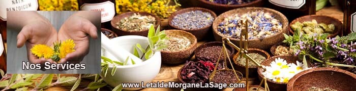 700x180px 1 Avertissement Header Herboristerie letaldemorganelasage.com