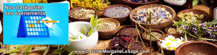700x180px 1 Avertissement Header Herboristerie letaldemorganelasage.com
