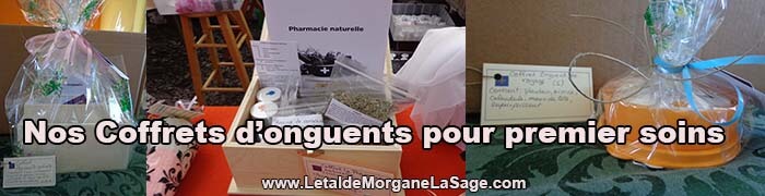 700x180px 1 Avertissement Header Herboristerie letaldemorganelasage.com