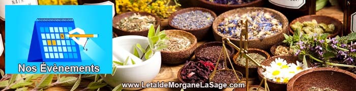 700x180px 1 Avertissement Header Herboristerie letaldemorganelasage.com
