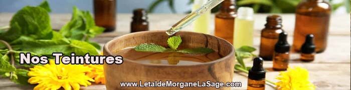 700x180px 1 Avertissement Header Herboristerie letaldemorganelasage.com