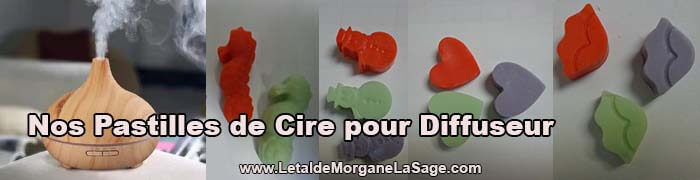 700x180px 1 Avertissement Header Herboristerie letaldemorganelasage.com