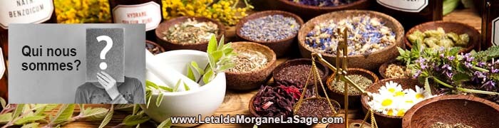 700x180px 1 Avertissement Header Herboristerie letaldemorganelasage.com