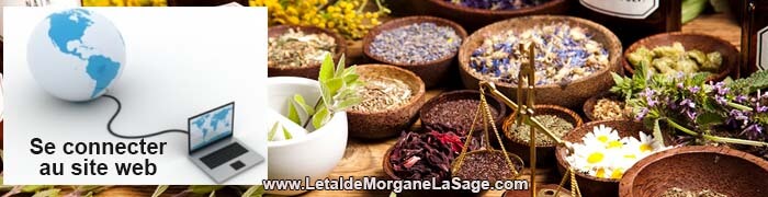 700x180px 1 Avertissement Header Herboristerie letaldemorganelasage.com